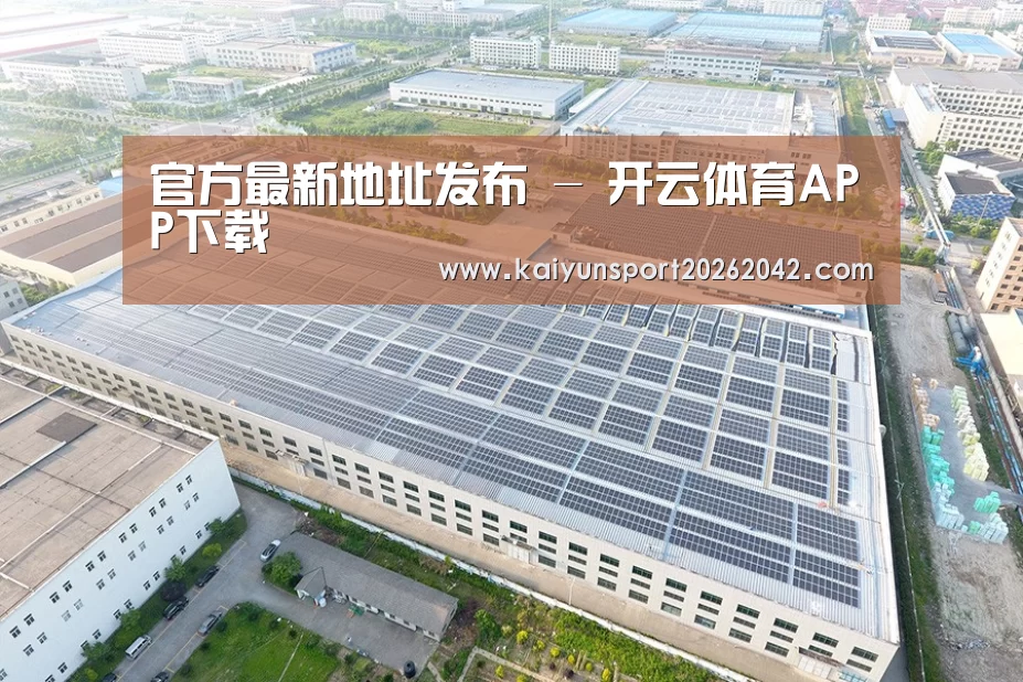 案例展示一