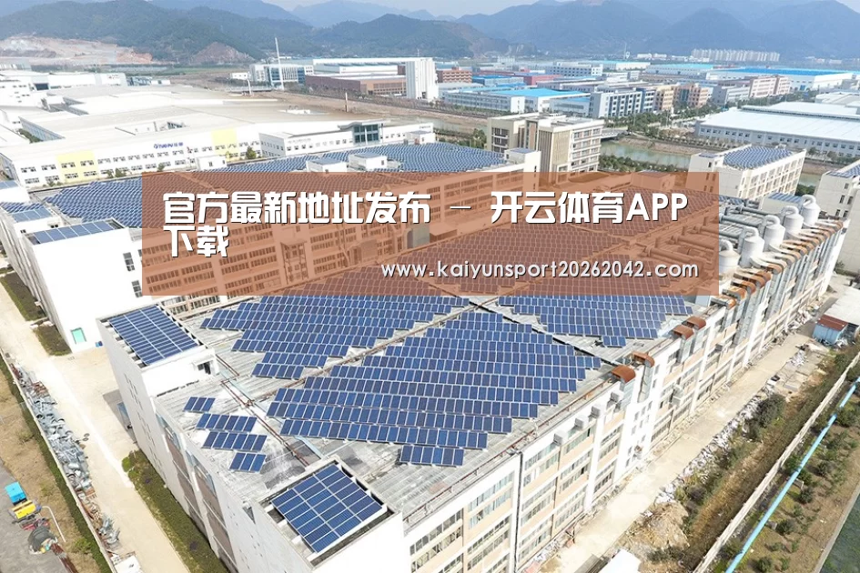 案例展示四