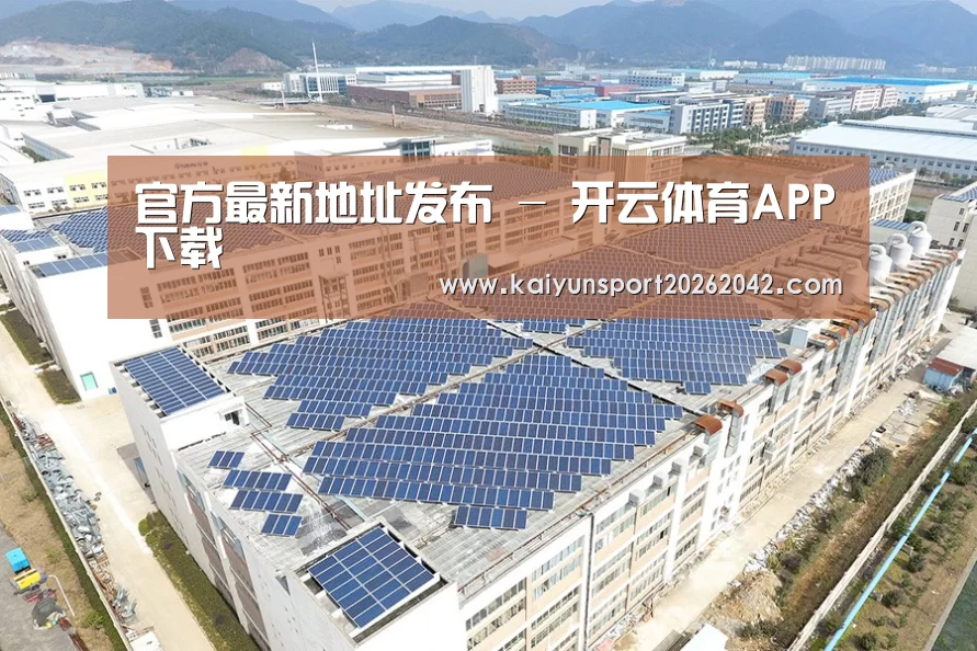 案例展示三
