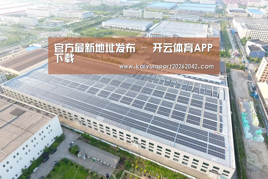 案例展示三