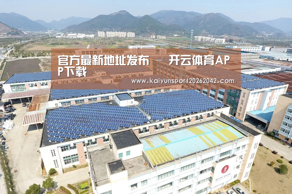 案例展示三