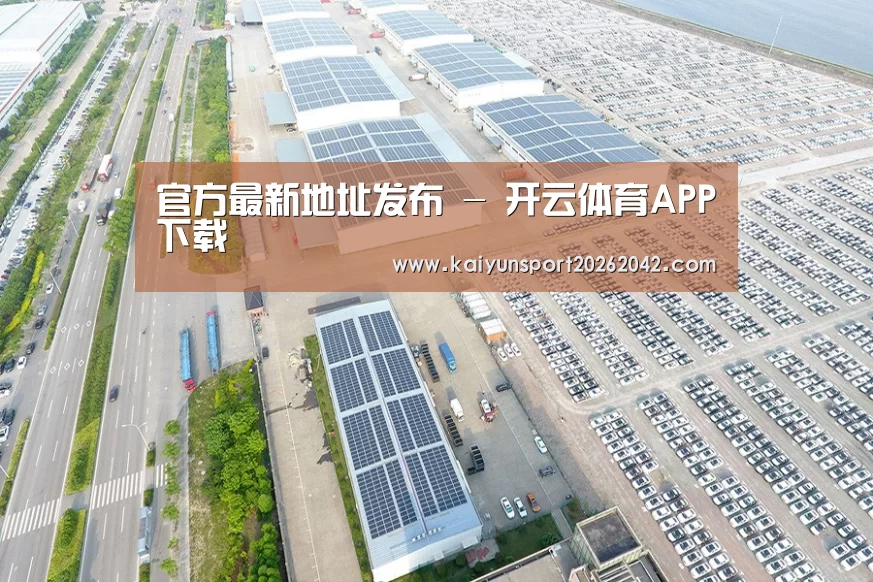 案例展示四