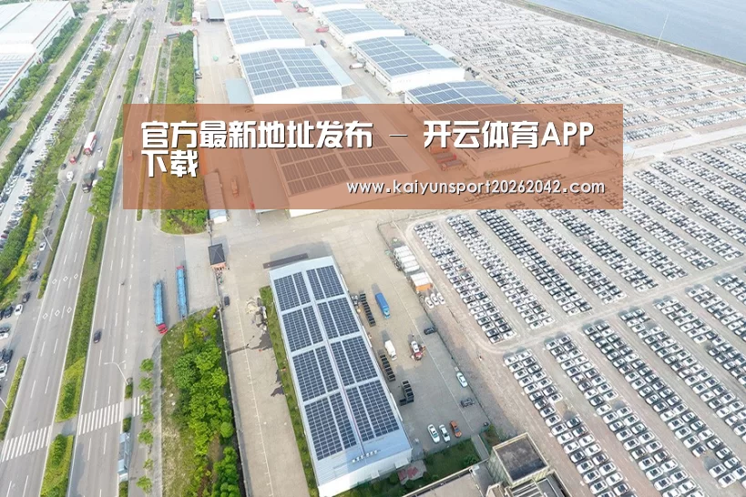 案例展示三