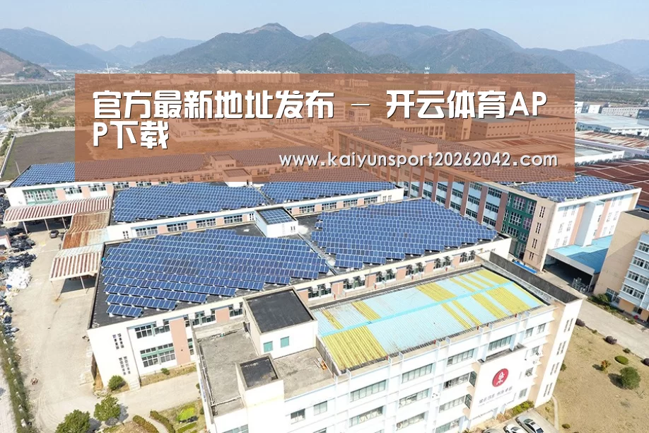 案例展示三