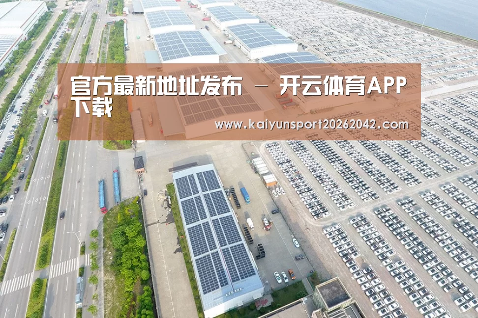 案例展示二