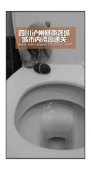 开云官方