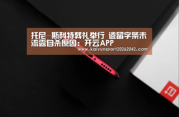 开云APP