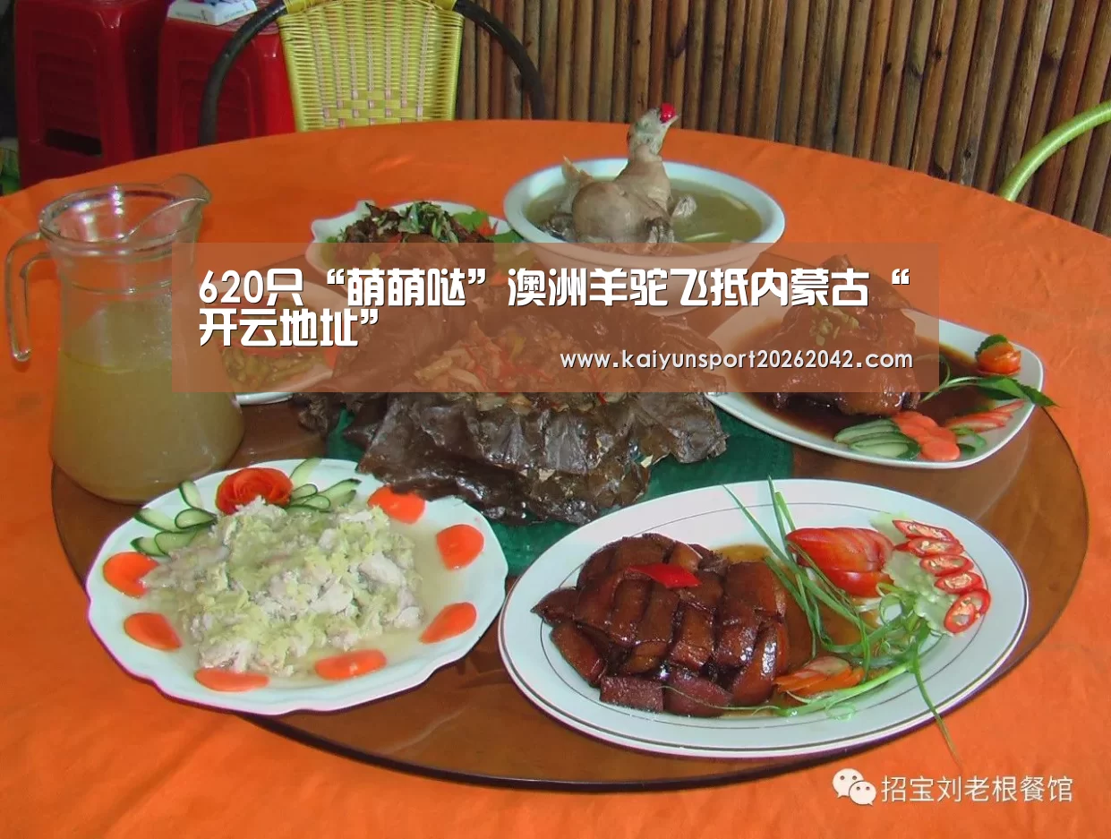 620只“萌萌哒”澳洲羊驼飞抵内蒙古“开云地址”(图1) 开云下载